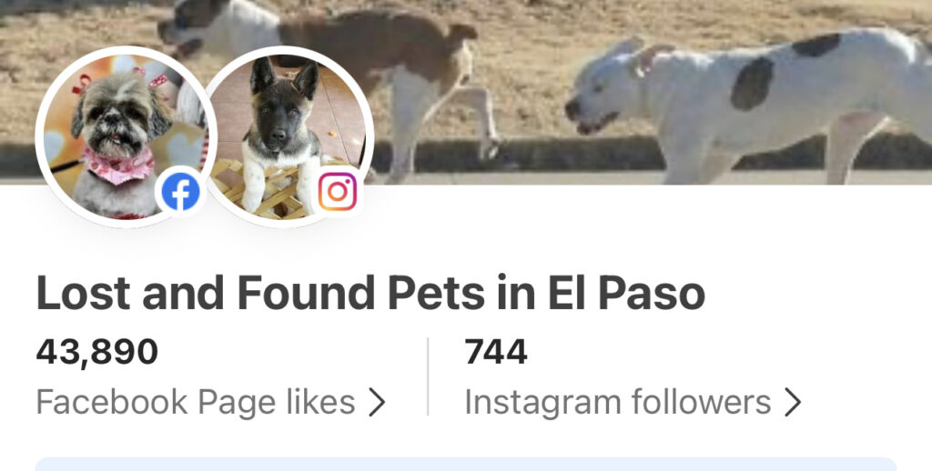 Lost and Found Pets in El Paso is a page that helps people find pets.